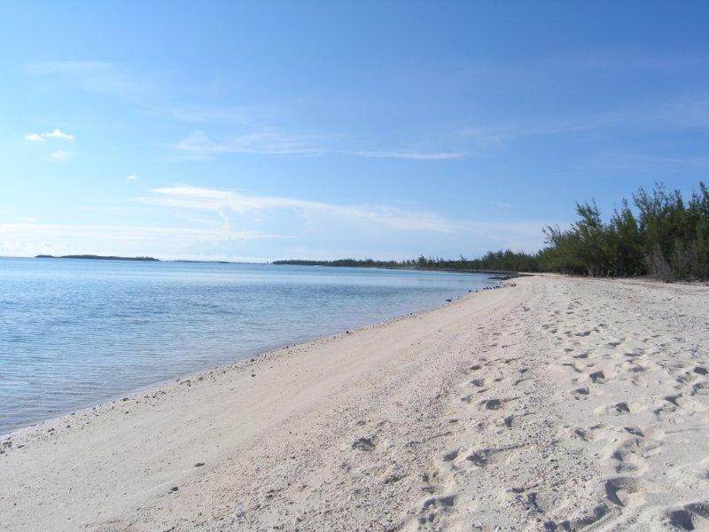Caribbean Sandcastle Home James Cistern Kültér fotó